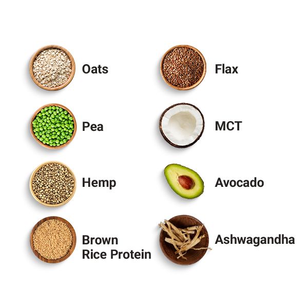 VEGAN COMPLETE 360 MEAL