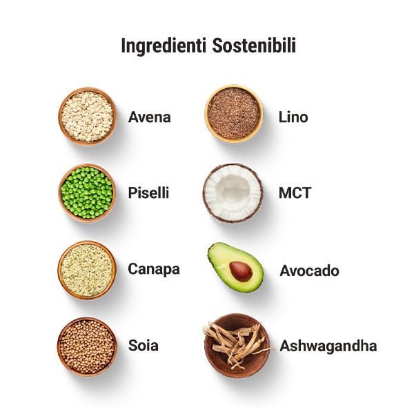 Diet Meal Replacement Extreme