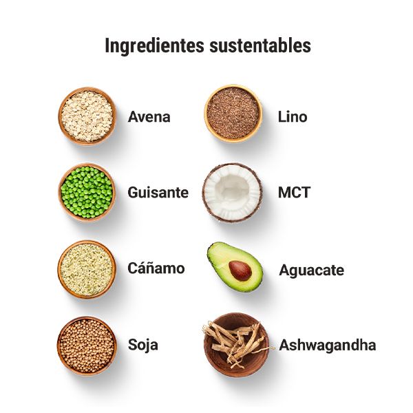 Diet Meal Replacement Extreme