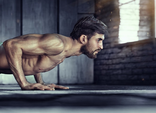 Muscle Protein