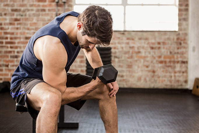 Muscle Protein